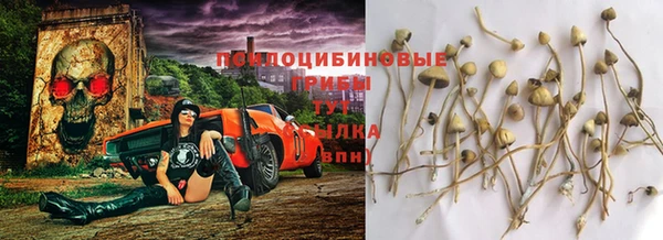 ALPHA PVP Балахна